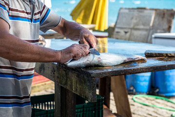 homem pescador limpando peixe na praia - obrazy, fototapety, plakaty
