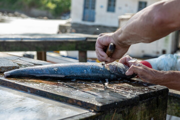 homem pescador limpando peixe na praia