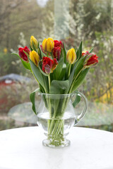 Tulpen am Fenster