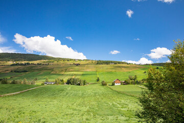 Summer in farmland at Dovre,Norway,scandinavia,Europe