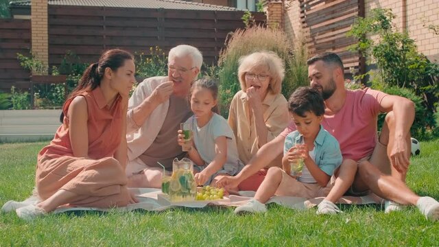 Low-angle Stab Shot Of Delighted Multigenerational Family Of Six Spending Summer Day Together Having Picnic With Fresh Lemonade On Lawn In Backyard