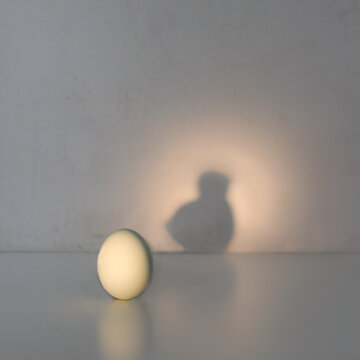 Egg casting shadow of chicken. Creative conceptual photo