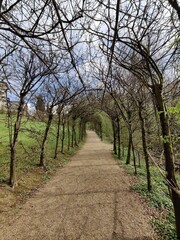 Fototapeta na wymiar Im frühen Frühling lockt der bepflanzte Laubengang am Kloster Heiligenberg im Odenwald zu einem Besuch im Klostergarten
