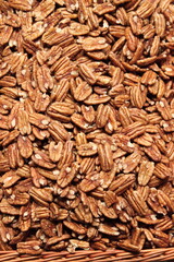 Peeled walnuts for sale