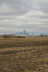 Downtown Edmonton in the Distance
