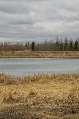 Pylypow in Early Spring