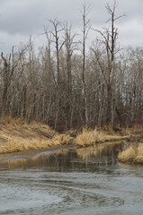 Pylypow in Early Spring