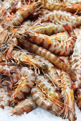 Shrimp for sale in a fish market