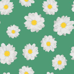 Floral pattern with white chrysanthemums on a green background. 