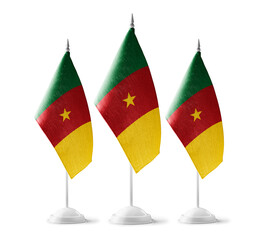 Small national flags of the Cameroon on a white background