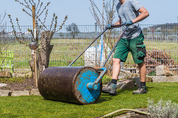 Gardener walks with an iron lawn roller over freshly laid turf