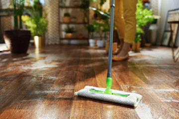 Modern woman at home in sunny day doing housekeeping