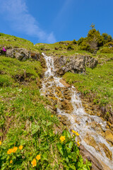 Fototapeta na wymiar Swiss landscape with creek stream