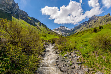 Swiss landscape with creek stream