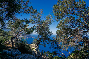Panoramic view of the coast of Mallorca.