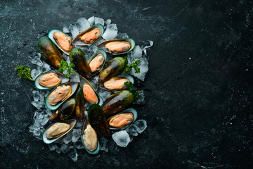 Large green mussels in shells on ice. Seafood. On a black stone background. Top view. Free space for text.