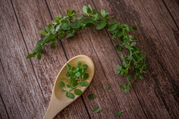 herbs and spoon