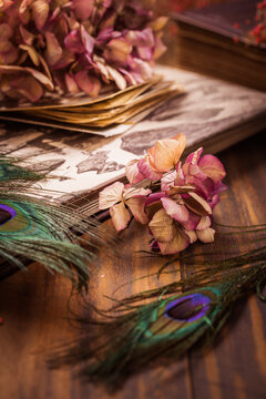 Old book and photo album, dried flowers and peacock feather eye in vintage style
