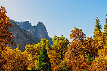 Autumn color trees give way to tall Rocky Mountain peak under blue sky.