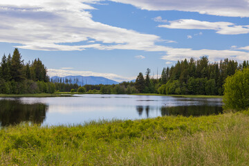 Fototapeta na wymiar Hidden Meadow lake, Glacier National Park, Montana