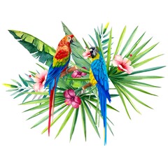 parrot on a branch,tropical plants,tropical floral, watercolor illustration 
