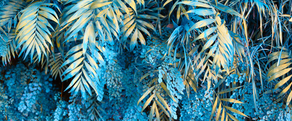Naklejka na ściany i meble Wall with tropical plants. Nature blue background.