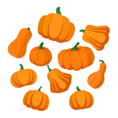 Pumpkin flat icons set. Sign kit of halloween. Different shapes and sizes orange gourd isolated on white background. Vector illustration