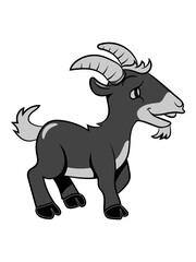 Ziege meckern lächeln 