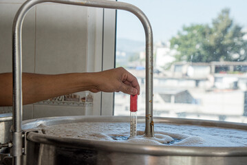 machinery, and process for the elaboration of the craft beer, grains, hoses and materials required...