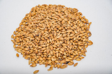 colored malt grains for making light and dark malt craft beer