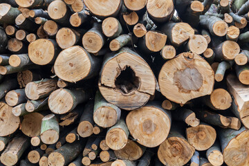 Motif de bois - stère de bois photographiée en gros plan - buches coupées