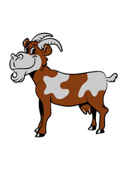 Ziege meckern lächeln 