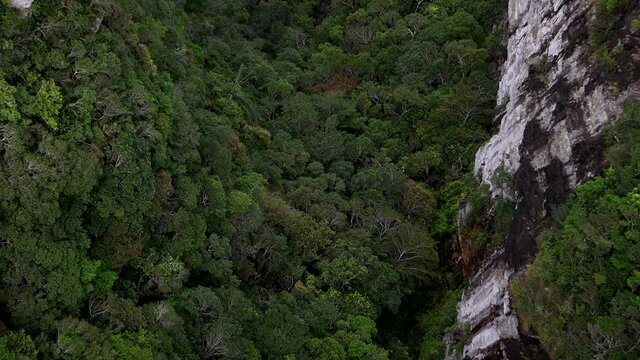 looking down from the langkawi, skybridge to the wild island forest.