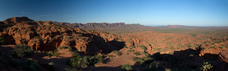 Fototapeta na wymiar The arid desert in the early morning. Panorama view of the red canyon, sandstone and rock formations at sunrise. 