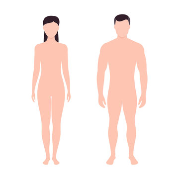 body outline, human figure. vector illustration.