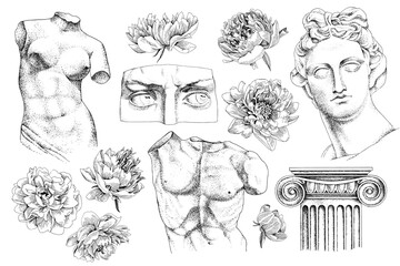 Set of hand drawn classical sculptures and flowers