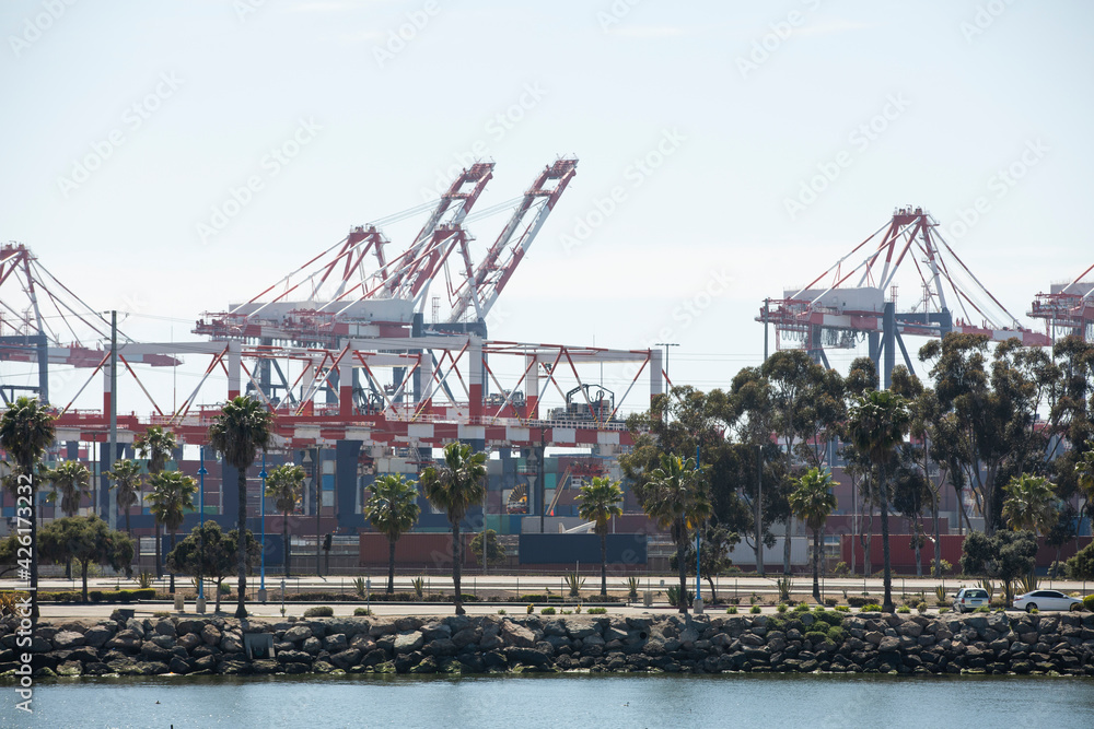 Wall mural Cargo cranes offload cargo ships at a port.