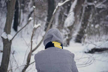 Fototapeta na wymiar Man in a gray jacket. Black and yellow scarf. Winter forest background.