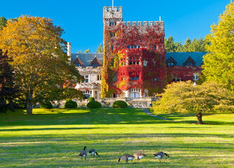 An old castle in Victoria, British Columbia.