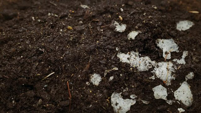 Timelapse close-up of melting snow on brown soil. Macro image with selective focus 
