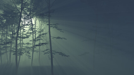 rays of the sun in a foggy forest 