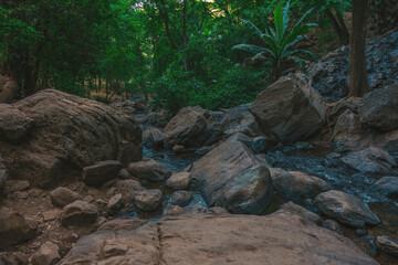 Fototapeta premium The wild landscape of a rivers with rocks. The river flows through the fall of the Velo de Novia waterfall. View of the rocks of the forest river in the ecological park 
