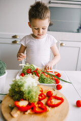 Cute boy preparing a salad of fresh vegetables. Boy preparing a salad for his mother