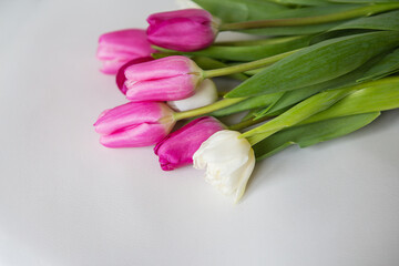 Beautiful spring bouquet with pink and white tulips on a white background.