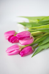 Beautiful spring bouquet with pink and white tulips on a white background. Postcard for the holidays.