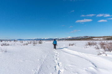 Fototapeta na wymiar Stunning blue sky day in northern Canada, Yukon Territory during spring time with man snow shoeing on a frozen lake with mountains in background.