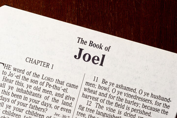 Obraz premium The Book of Joel Title Page Close-up