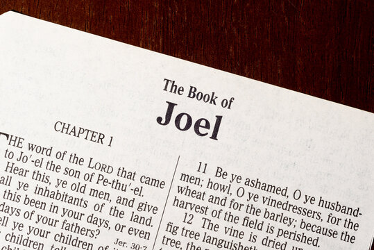The Book of Joel Title Page Close-up