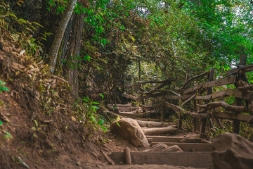 Path through lush green forests in the ecological park "Velo de Novia" in Mexico