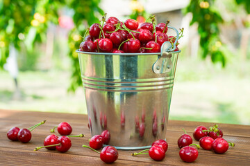 Fototapeta na wymiar Freshly picked ripe cherries in a bucket. Ripe red cherries in the metal bucket